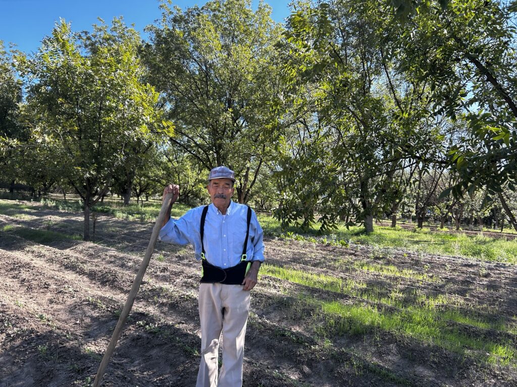 img_1056-1024x768 “El año en qué la flor no floreció en Camargo” Donde antes hubo flores hoy solo hay silencio
