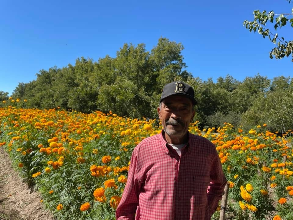 img_1064 “El año en qué la flor no floreció en Camargo” Donde antes hubo flores hoy solo hay silencio