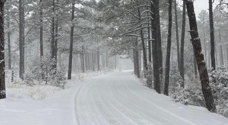 img_6357 Amantes del frío: se espera posible caída de nieve en Chihuahua