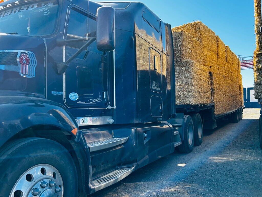 8dc96ca9-6ffb-49db-b7ba-8f562024504c-1024x768 Entrega de apoyo al campo: distribuyen 200 pacas de rastrojo a ganaderos del municipio